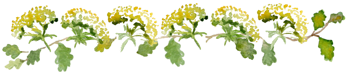 Decorative floral border